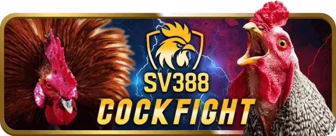 Khuyến Mãi Hàng Ngày & Hàng Tuần 69win